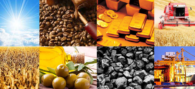 STOCK & COMMODITY INVESTMENTS